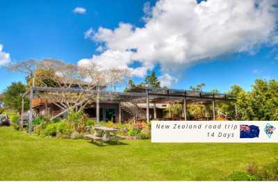 Neuseeland - Waikato District - 🇳🇿🗺 Entdecke die Geheimnisse Neuseelands 🗺🇳🇿 - 3