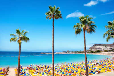 Spain - Las Palmas de Gran Canaria - Coworking Trip Gran Canaria ☀️ Las Palmas (Stadtzentrum) - Einzelzimmer - 7