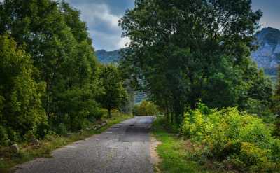 Ungarn - Bükki National Park - Hungarian Road Trip: Volcanic Hills, Secret Forests & Craft Beer 🚗🌲 - 1