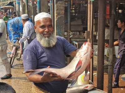 Bangladesch - Dhaka - Bangladesh Adventure – Between Rivers, Tea Hills & Ancient Cities - 6