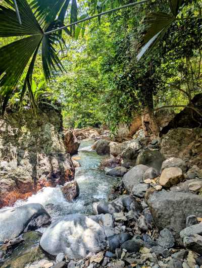 Panama - El Valle de Antón - PANAMA - Das Paradies zwischen zwei Ozeanen: Entdecke Panamas unberührte Vielfalt in 10 Tagen 🦥🌴 - 9