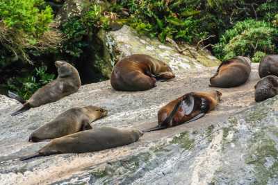 Neuseeland - Te Anau - Guided Motorcycle New Zealand Adventure Trip