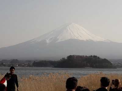 Japan - Tokyo - AUTUMN IN JAPAN: Explore Japan's Most Unique Classic Destinations in the Foliage Season! - 2