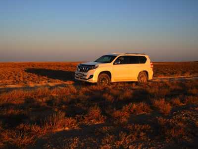 Uzbekistan - Aral Sea - Uzbekistan Silk Road & Aral Sea Expedition | Yurts, Deserts & Ancient Cities - 2