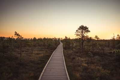 Northern Europe - Loksa tee - Discover the Baltic States - Tallinn, Riga, Vilnius and much more! - 1