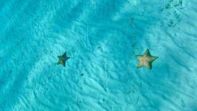 Mexico - San Miguel de Cozumel - *Only for Marta* The Yucatán experience - adventure, fun and new friendships on Mexico's Caribbean Coast 🇲🇽