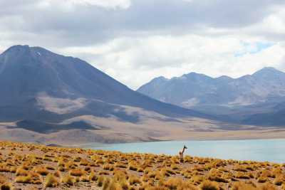 Chile - Atacama - 11 Days Chile Ultimate Adventure: Patagonia W Trek & Atacama Desert
