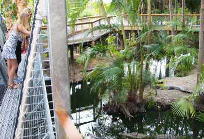 Australia - Wildlife Habitat - 🐊🪸 Ancient Daintree meets The Great Barrier Reef: A Week in Port Douglas, Australia 🐢🇦🇺 - 3