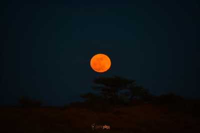 Kenya - Marsabit - CHALBI DESERT ADVENTURE - 2