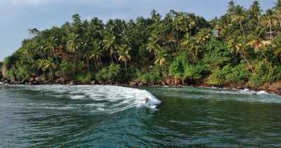 Sri Lanka - Mirissa - 🌿 SRI LANKA EASTER 2026: A 360° JOURNEY 🐆 - 2