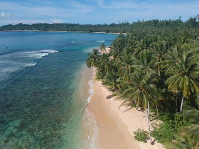 Indonesien - Mentawai Islands Regency - VOLUNTEER PROGRAM AT SIMARASOK CULTURE VILLAGE WEST SUMATRA , 14 DAYS COMMUNITY IMMERSION & DIGITAL PROMOTION - 2
