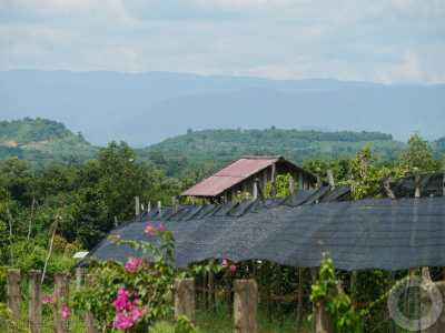 Südostasien - Krong Kampot - 🇰🇭 Kambodscha - Budget Backpacking Trip durch Kambodscha incl. Angkor Wat 🏯 Pfefferplantagen 🌿 & Inselwelten 🌅 - 2