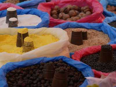 Nepal - Kathmandu - 🇳🇵 Nepal Motorradreise (Privatzimmer!) 🏍️ mit der Royal Enfield durch Nepal incl. Rafting & Safari🗻🚣🦏🌴 - 6