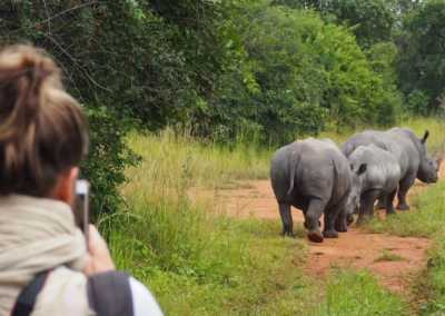 Uganda - Ziwa Rhino and Wildlife Ranch - Uganda: Self drive 4x4 Land Cruiser 🦍🌿Gorilla & Rhino tracking! Coffee, Waterfalls & Hikes 🇺🇬 - 3