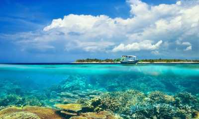 Indonesia - Gili Trawangan - Lombok, Indonesia 3 Gili Islands Excursions, Cheers and Relaxing ☀️ - 8