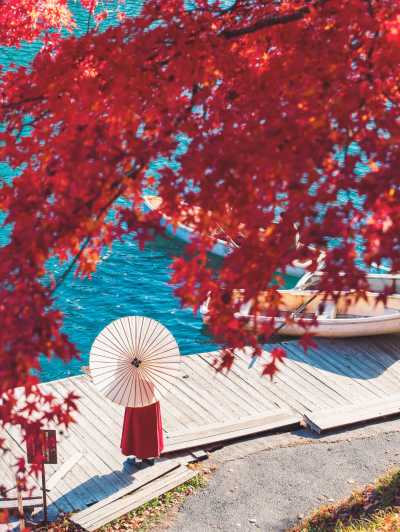 Japan - 🍜 The Golden Route Reimagined: 14 Nights Through Osaka, Kyoto, Hikone & Tokyo 🎎 (PRIVATE ROOMS) - JoinMyTrip