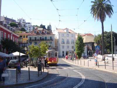 Portugal - Lisbon - Exploring with a Local through The Center of Portugal [Olive Oil tasting]