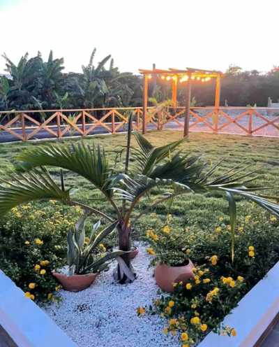 Dominikanische Republik - Santiago de los Caballeros - Live the Dominican Republic Like a Local: 11-Day Authentic Island Experience! - 5