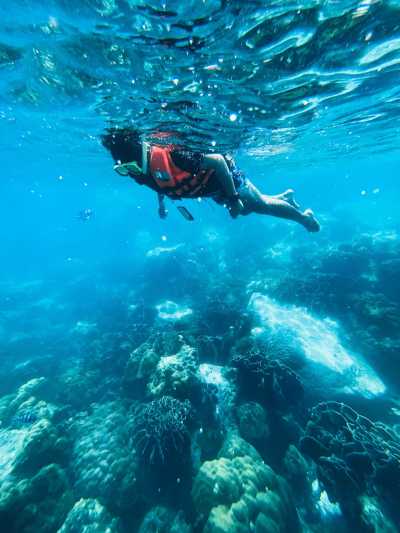 Egypt - Blue Hole of Dahab - Exploring the Beauty of Dahab & Cairo: A Journey through Desert and Sea - 3