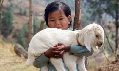 Nepal - Everest Base Camp - 🏔️ Nepal: Hike to Everest Base camp! Himalayan Views & rural village interactions - the challenge of a lifetime! - 6