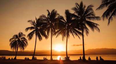 Australia - Rex Smeal Park - 🐊🪸 Ancient Daintree meets The Great Barrier Reef: A Week in Port Douglas, Australia 🐢🇦🇺