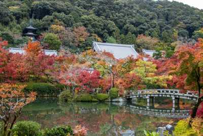Japan - Philosopher's Path (Tetsugaku no Michi), North End - 🍜 The Golden Route Reimagined: 14 Nights Through Osaka, Kyoto, Hikone & Tokyo 🎎 (PRIVATE ROOMS)