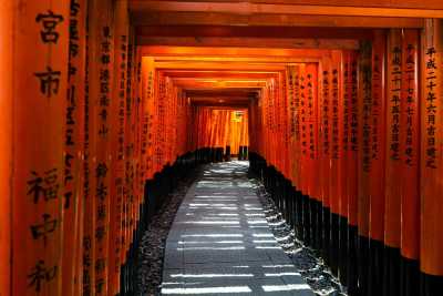 Japan - Kyoto - Celebrate Like a Local: Japanese New Year Traditions Unveiled - 3