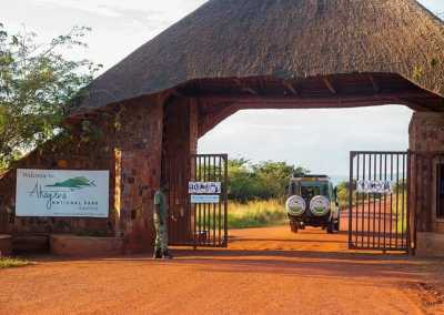 Ruanda - Akagera National Park - RWANDA! Self-drive 4x4 landcruiser 🐒🦍🍃 Chimpanzee tracking, Canopy walk, Tea plantation, Volcanoes National park 🇷🇼 - 2