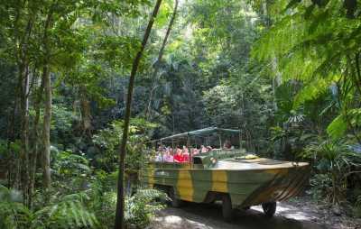 Australien - Kuranda - 🌴🪸 Daintree to Great Barrier Reef: A Co-Working Retreat in Port Douglas, Australia 🐠🇦🇺 - 3