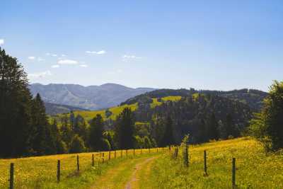 Germany - Bad Peterstal-Griesbach - Best of the Black Forest, Germany with my huskies 🇩🇪🐾 | Hiking | Outdoors | Historic towns