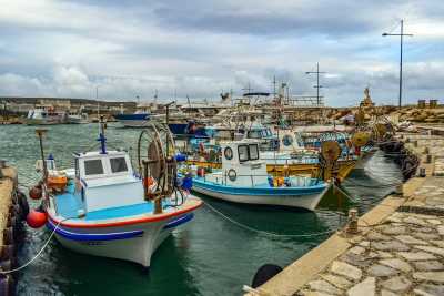 Cyprus - Ayia Napa - A Cyprus Adventure with Locals: Natural History and Unforgettable Views - 5