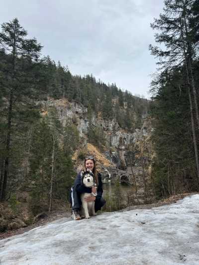 Österreich - Ehrwalder Almbahn - Snow Trip to Austria with My Huskies 🐾❄️ Winter Hikes | Skiing | Tobogganing - 5