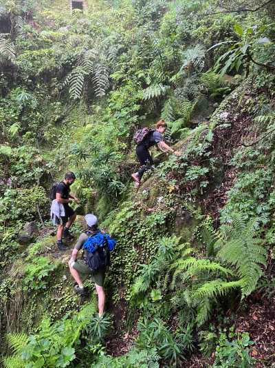 Portugal - Fanal Forestry Station - Modern, Spacious & Beautiful Coliving Villa in prime location - Funchal, Madeira | Adventure, Nature and Fun on the Dream Island of Madeira 🌴 | Large Private Suite with Bathroom and Balcony - 5