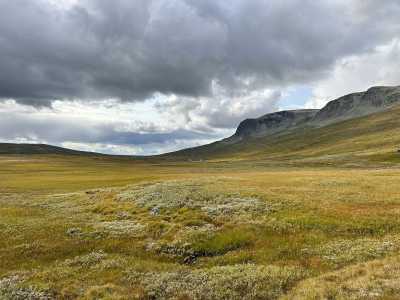 Europa - Geilo - Roadtrip to Norway's Nature