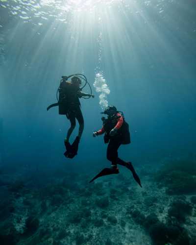 Australien - Great Barrier Reef - 🌴🪸 Daintree to Great Barrier Reef: A Co-Working Retreat in Port Douglas, Australia 🐠🇦🇺 - 3