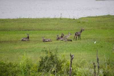 Namibia - Katima Mulilo - Namibia - Eine unvergessliche Reise im 4x4 Fahrzeug mit Dachzelt - 1