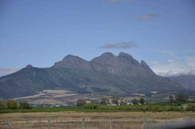 South Africa - Kapstadt - Südafrika: das atemberaubende Kap trifft auf das Biospähren-Reservat Blyde - Krüger - 6