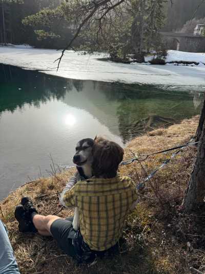 Austria - Bichlbach - Snow Trip to Austria with My Huskies 🐾❄️ Winter Hikes | Skiing | Tobogganing - 4