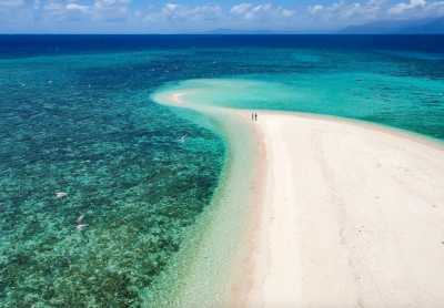 Australia - Great Barrier Reef - 🐊🪸 Ancient Daintree meets The Great Barrier Reef: A Week in Port Douglas, Australia 🐢🇦🇺 - 9
