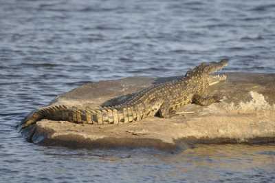 South Africa - Blyde River Canyon - Südafrika: das atemberaubende Kap trifft auf das Biospähren-Reservat Blyde - Krüger - 3