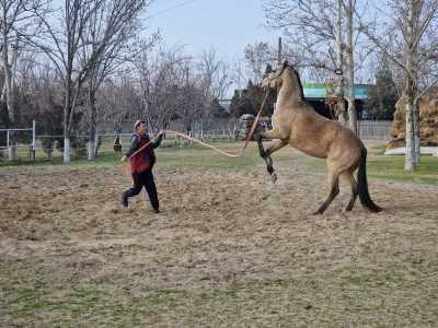 Turkmenistan - Ashgabat - Into the Heart of Turkmenistan: Fire Craters, Marble Cities & the Ancient Silk Road - 3
