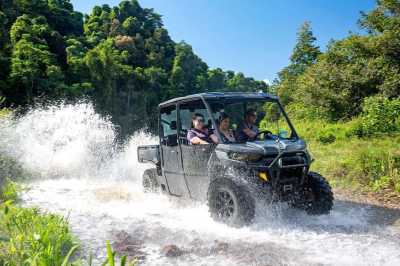 Australia - Upper Daintree - 🌴🪸 Daintree to Great Barrier Reef: A Co-Working Retreat in Port Douglas, Australia 🐠🇦🇺 - 1