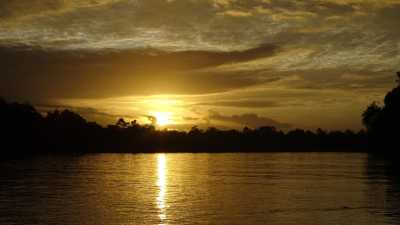 Malaysia - Sukau - Borneo Safari: A Quest for the Orangutan - 1