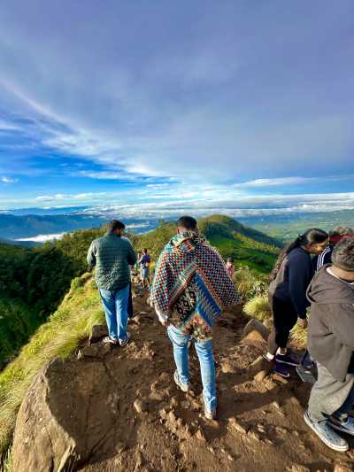 Indien - Munnar - India, Kerala: Enjoy Beaches and Mountain Escapes in One Package - 8