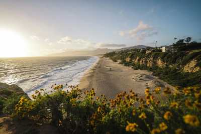Vereinigte Staaten - 🐚☀️ California Dreaming: The Malibu Beach Escape (PRIVATE ROOM) 🌊 🏖️ - JoinMyTrip
