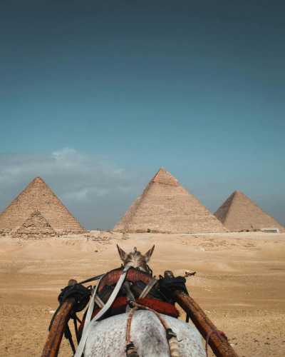 Egypt - Al Giza - Egyptian Escapade: Exploring Hurghada, Cairo, and Luxor - 4