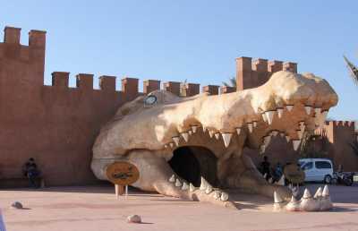 Marokko - Crocoparc - Unveiling the Beauty of Agadir, Morocco: Discover a Coastal Paradise - 1