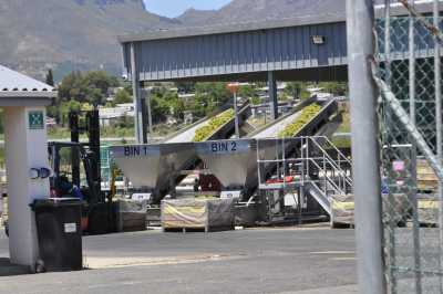 South Africa - Paarl - Entdecke Südafrika: Die Kapregion - jenseits der touristischen Trampelpfade - 2