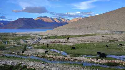India - Pangong Tso - Mystical Ladakh - A Yoga and Meditation Retreat Exploring India's Himalayas - 3
