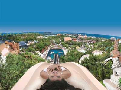 Spanien - Loro Park - Escape Winter in Tenerife - Spa Retreat, amazing sea & montain view, heated pool/infinity, road & boat trips and more...